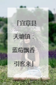 宜章县天塘镇：蓝莓飘香引客来